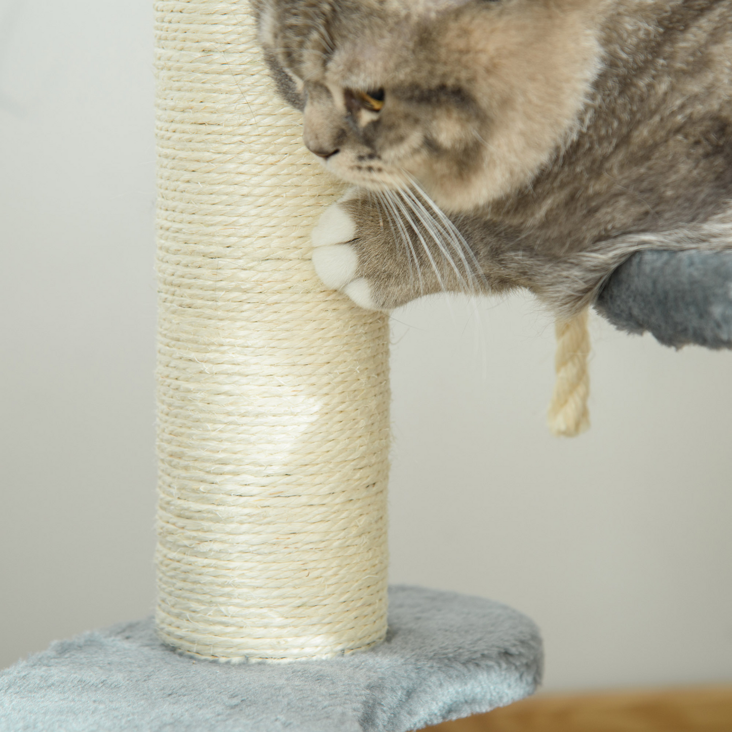 PawHut 65 cm Cat Tree for Indoor Cats – Kitty Scratcher, Kitten Activity Center, Scratching Post, Playhouse with 2 Perches & Hanging Sisal Rope – Grey