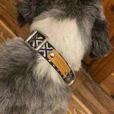 Finnigan’s Designer Dog Collar No. 01m - Baig Merchant