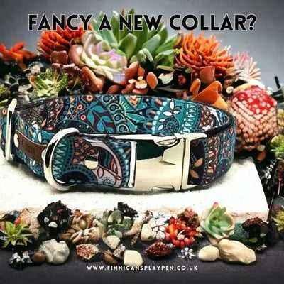 Finnigan's Durable Designer Dog Collar No. 5l - Baig Merchant