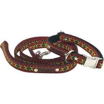 Finnigan's Wholesale Durable Designer Dog Collar No.19m - Baig Merchant