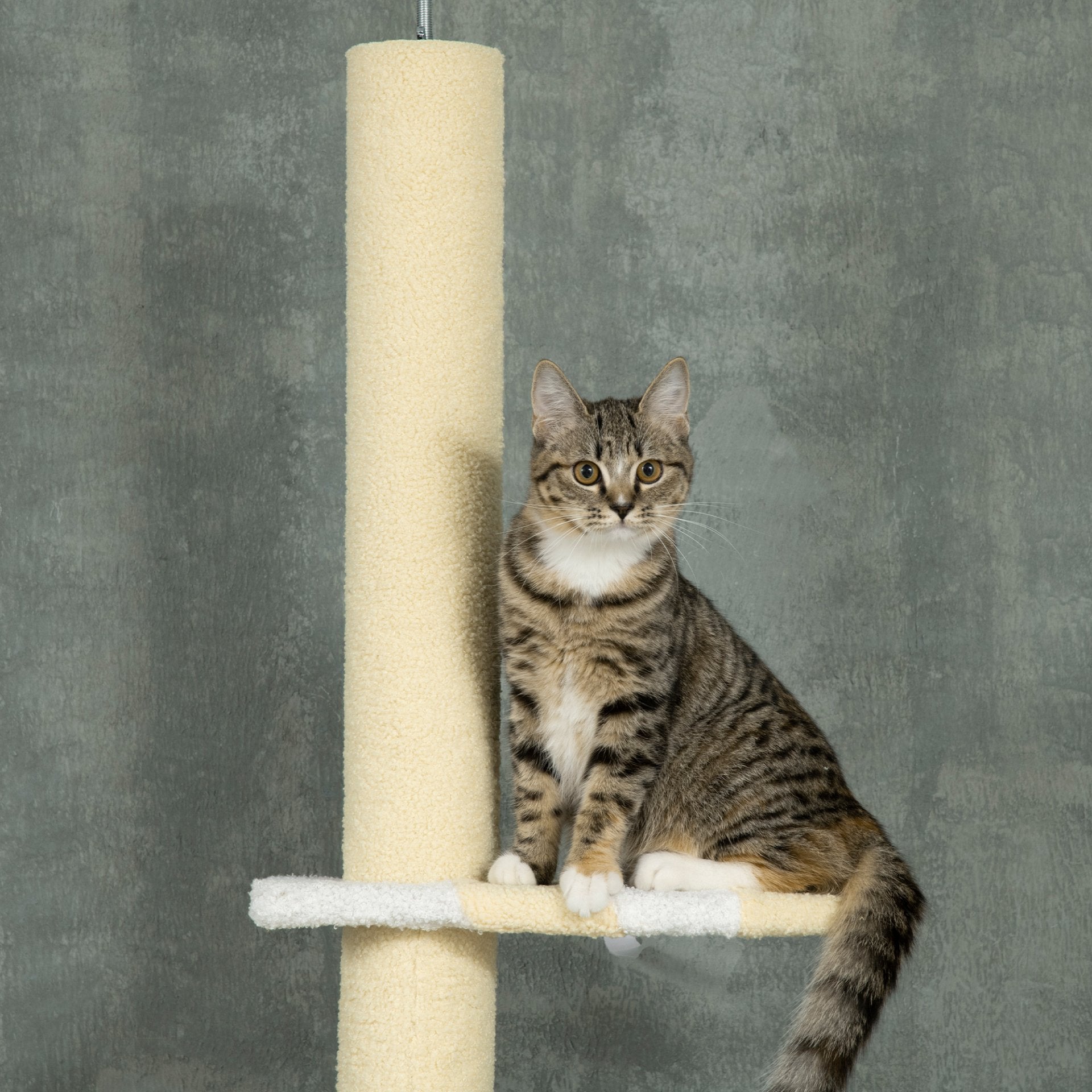 PawHut 260cm Floor to Ceiling Cat Tree, Height Adjustable Kitten Tower with Anti - slip Kit, Multi - Layer Activity Centre w/ Fish - shaped Perches Scratching Post Ball Toy - Yellow - Baig Merchant