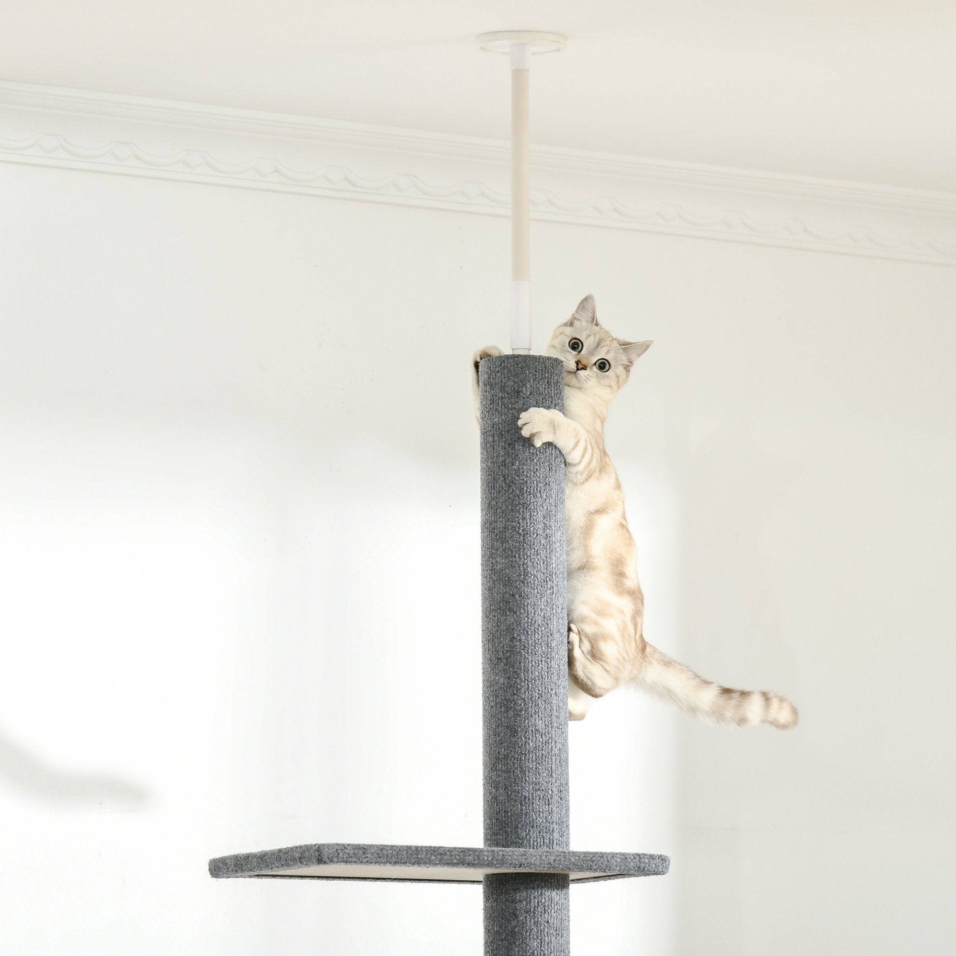 PawHut 260cm Floor To Ceiling Cat Tree - Three Platforms Activity Centre - Grey - Baig Merchant