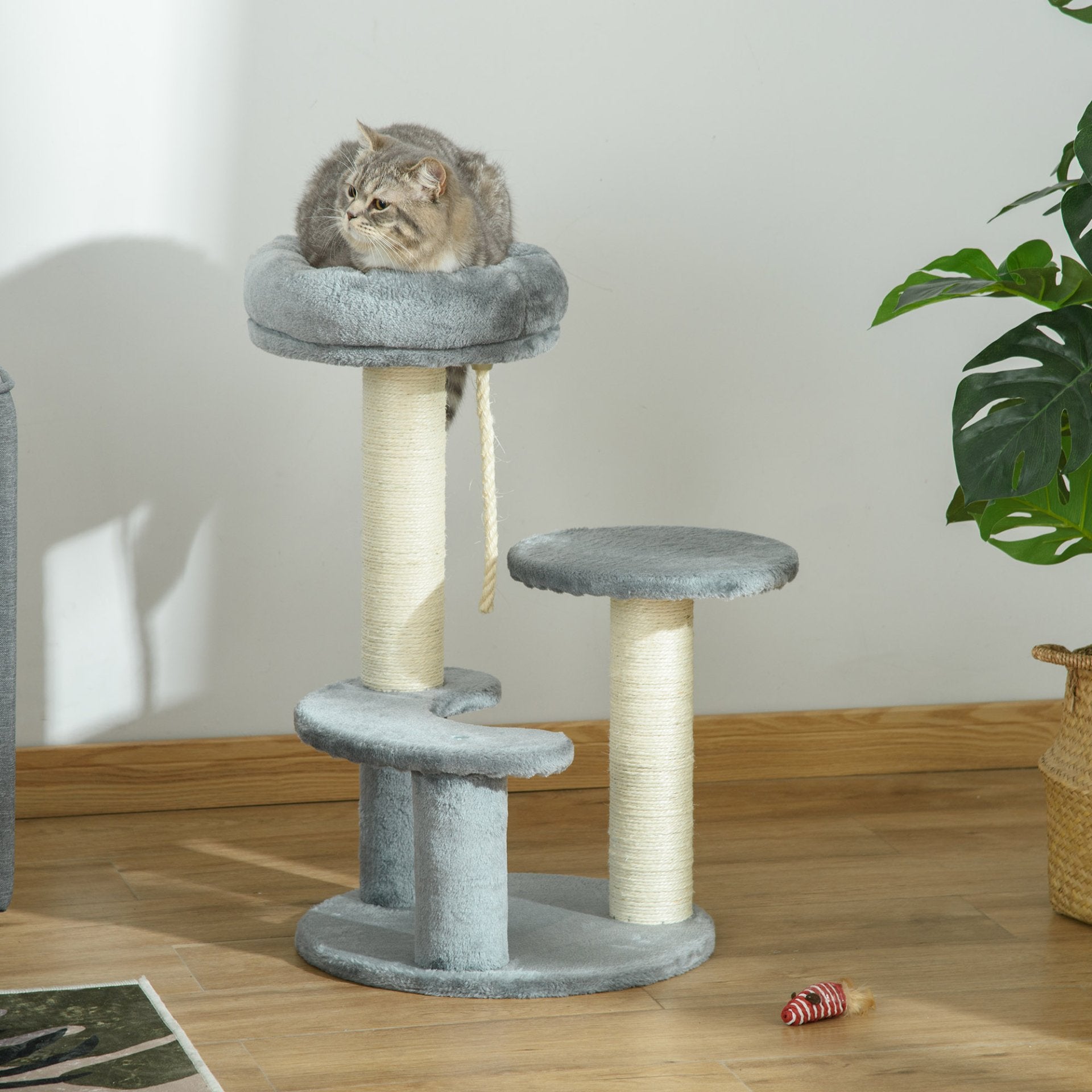 PawHut 65 cm Cat Tree for Indoor Cats – Kitty Scratcher, Kitten Activity Center, Scratching Post, Playhouse with 2 Perches & Hanging Sisal Rope – Grey - Baig Merchant