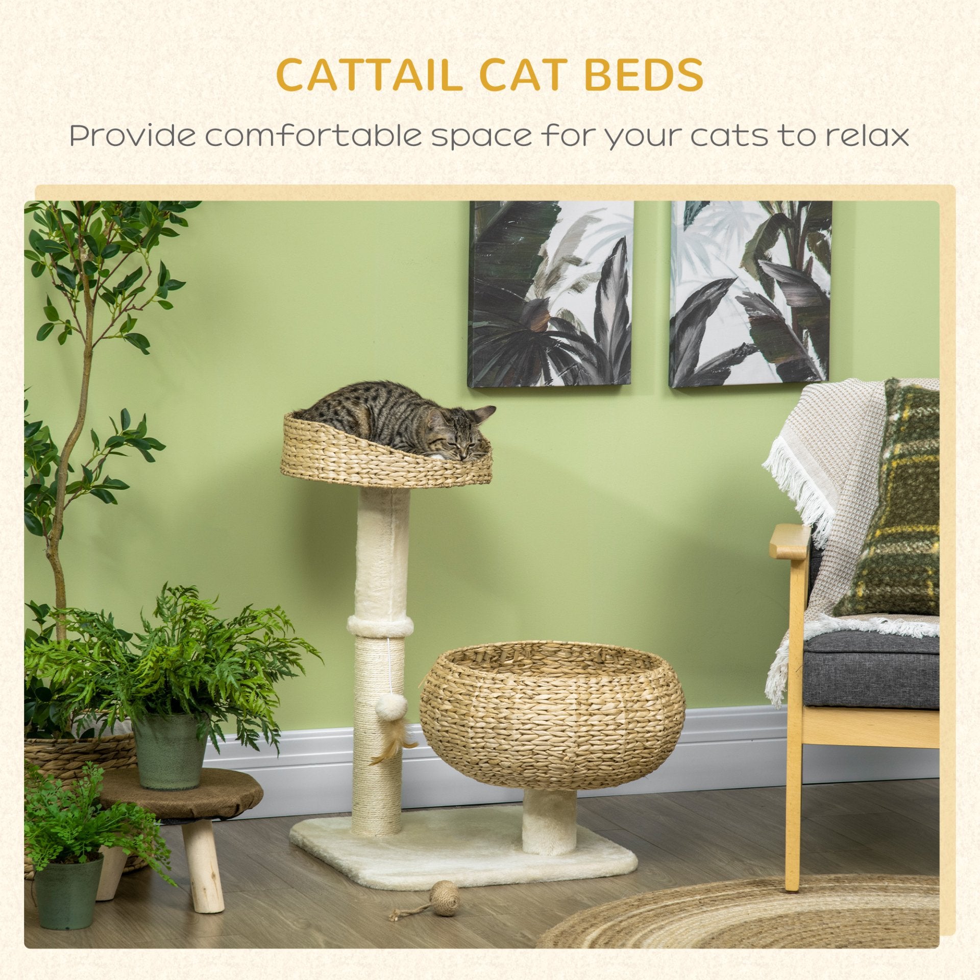 PawHut 72cm Cat Tree, Kitty Activity Centre, Cat Climbing Toy, Cat Tower w/ Two Cattail Beds, Toy Ball, Scratching Post - Beige - Baig Merchant