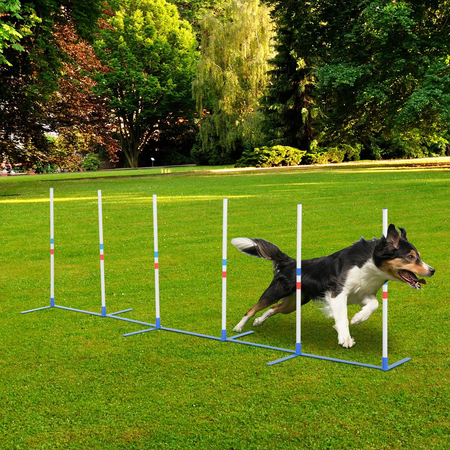 PawHut Adjustable Dog Agility Training Obstacle Course Set with Weaves Poles Storage Bag for Pet Dogs Outdoor Games Exercise - Baig Merchant