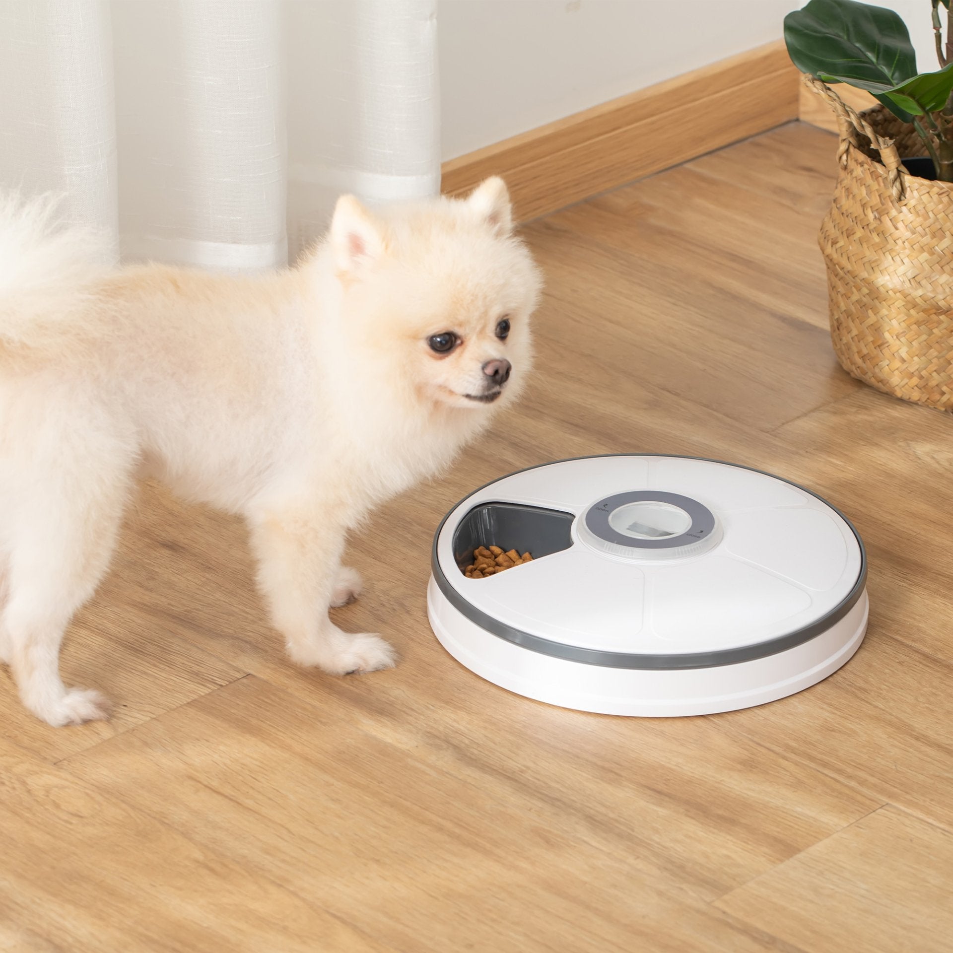 PawHut Automatic Pet Dog Cat Feeder w/ Digital Timer Six - Meal Food Dispenser - Baig Merchant