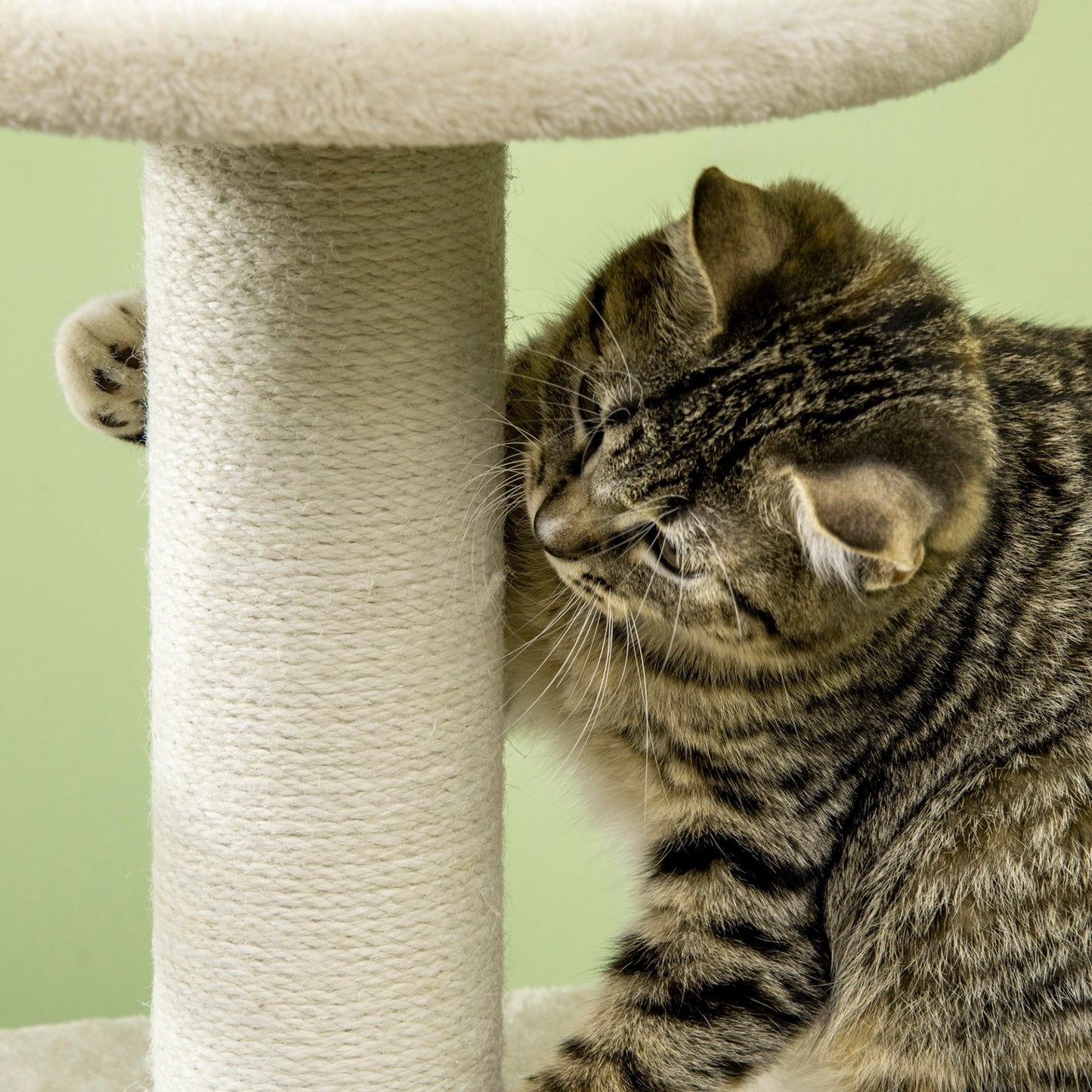 PawHut Cat Tree Climbing Kitten Tower Activity Centre for Indoor Cats w/ Jute Scratching Post, Cat House, Kitten Stand, Hanging Toy Ball - Beige - Baig Merchant