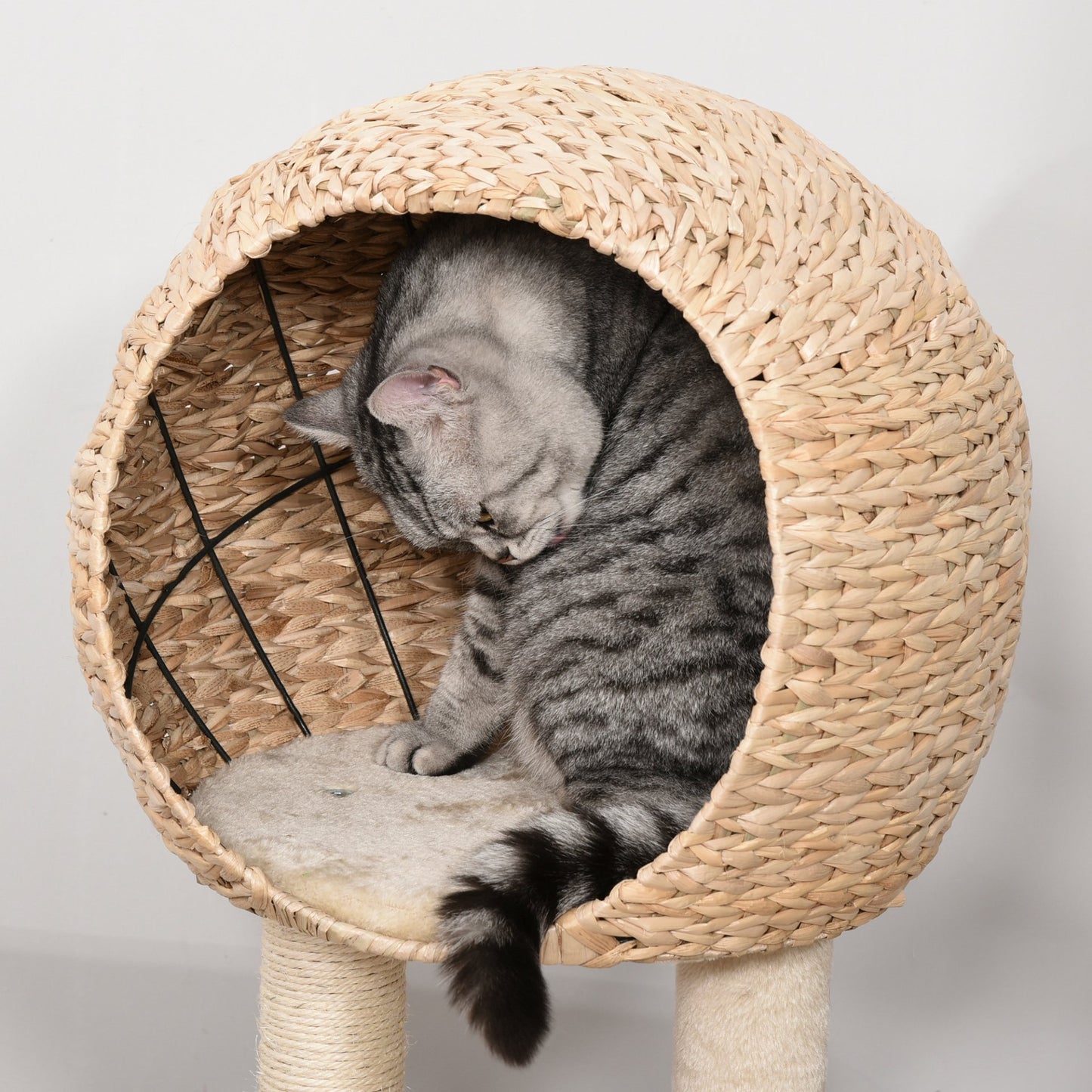 PawHut Cat Tree for Indoor Cats 100cm Kitten Climbing Tower Activity Center with Sisal Scratching Post Condo Perch Hanging Balls Teasing Rope Toy Cushion - Baig Merchant