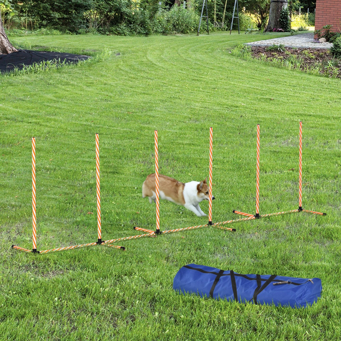 PawHut Dog Agility Training Equipment Pet Play Run Obstacle w/Weaves Poles Whistle Carrying Bag Outdoor Games Exercise - Baig Merchant