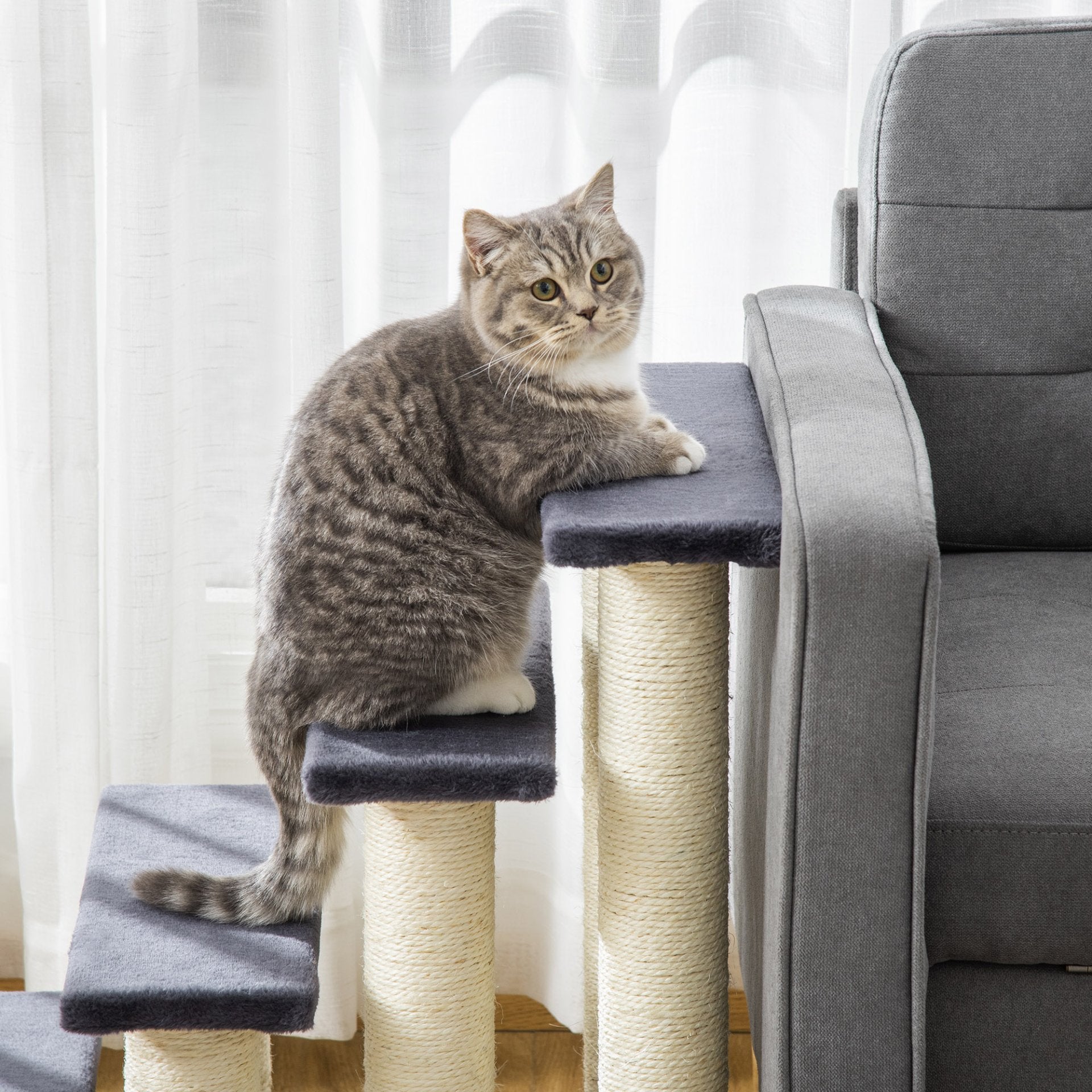 PawHut Dog Steps for Bed 4 Step Pet Stairs for Dog Cat ladder Scratch Post Grey - Baig Merchant