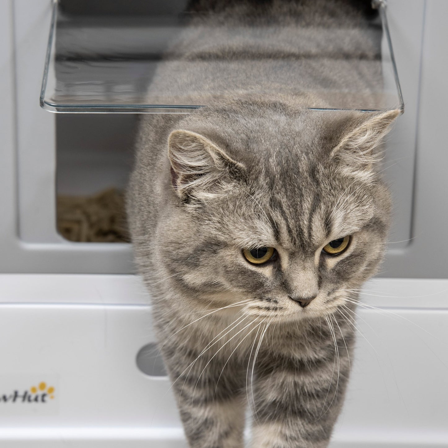 PawHut Hooded Cat Litter Box, Portable Pet Toilet w/ Tray, Scoop, Front Entry, 47.5 x 35.5 x 36.7cm - Grey - Baig Merchant