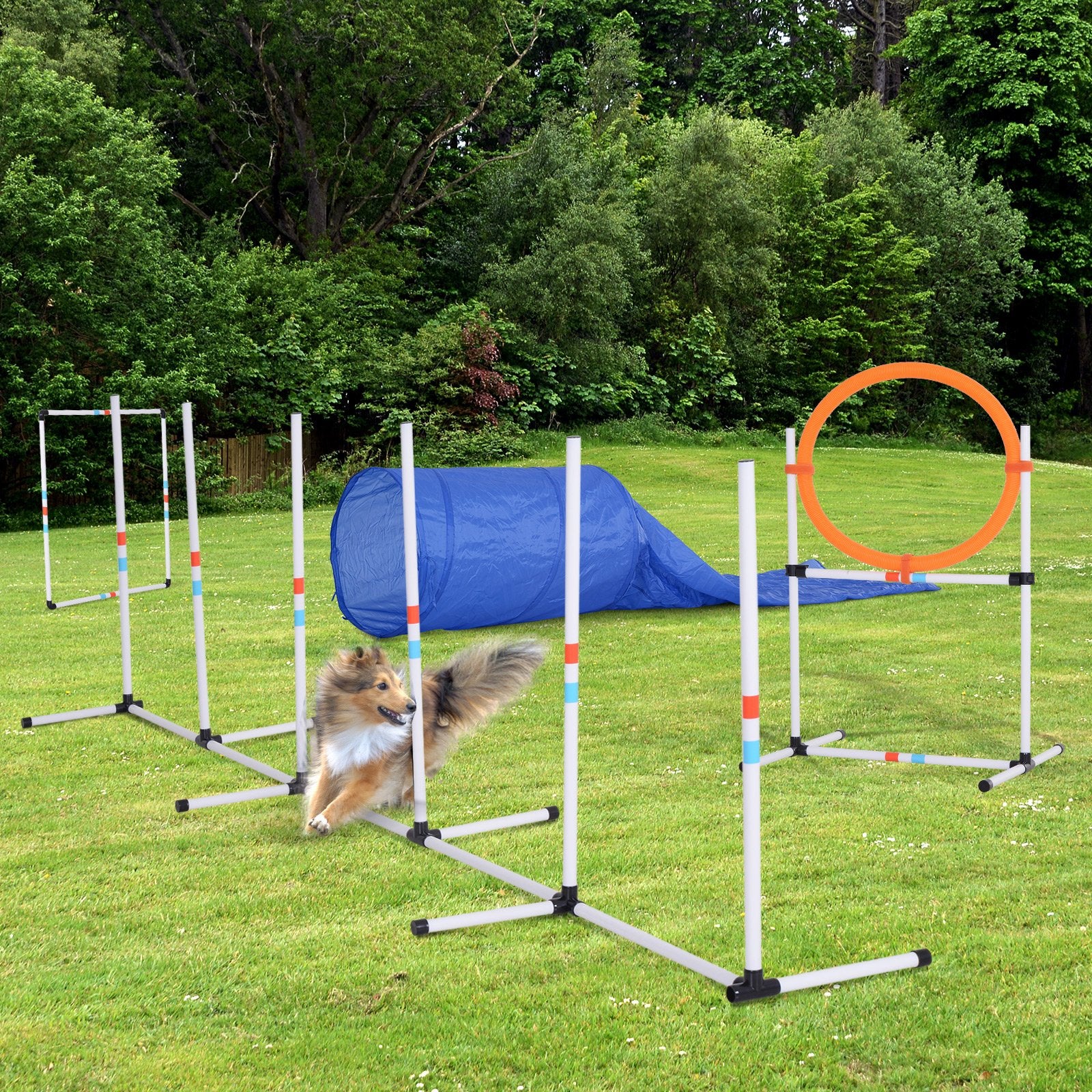 PawHut Pet Agility Training Equipment Dog Play Run Jump Obedience Training Set Carry Bag Adjustable (Pole + Hoop + Hurdle+Tunnel + Pause Box) - Baig Merchant